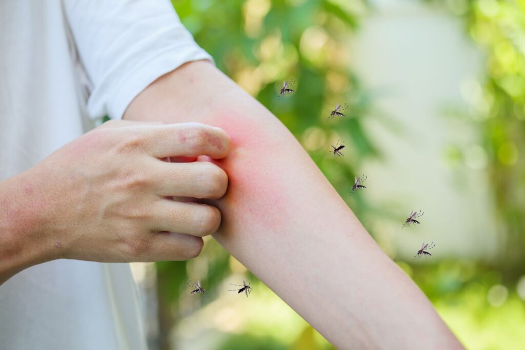 Protect yourself with our Mosquito Control Service